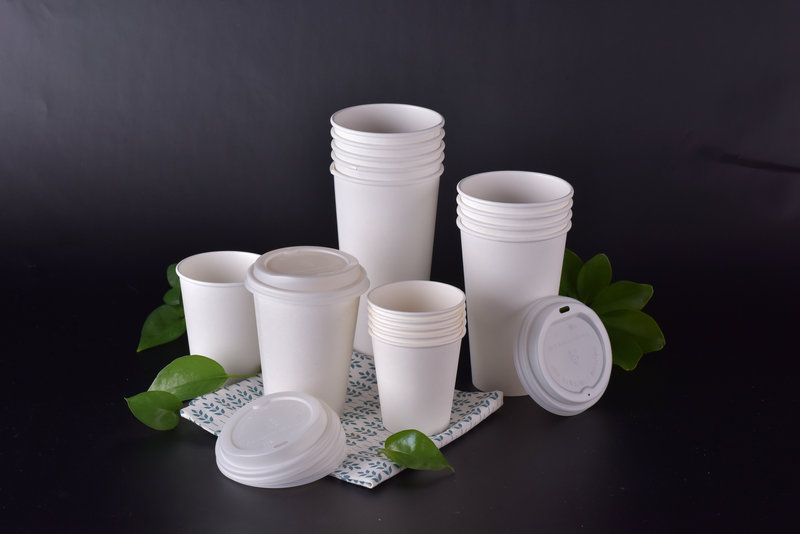 Gelas Kertas Biodegradable PLA 3